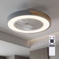 Brilagi - LED stmievateľné stropné svietidlo s ventilátorom LED/38W/230V 3000-6500K pr. 50 cm šedá/dub + diaľkové ovládanie