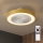 Brilagi - LED stmievateľné stropné svietidlo s ventilátorom LED/38W/230V 3000-6500K priemer 50 cm zlaté + diaľkové ovládanie