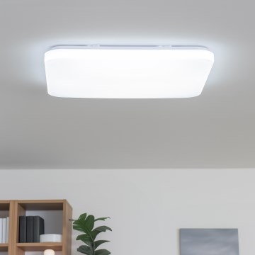 Brilagi - LED Stmievatelné stropné svietidlo SHINE LED/24W/230V pr. 60 cm 3000/4000/6500K krémová + diaľkové ovládanie