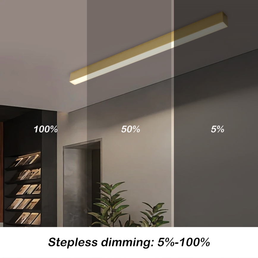 Brilagi - LED stmievateľné stropné svietidlo SLEEKLINE SMART LED/40W/230V 3000-6000K Wi-Fi Tuya zlaté + diaľkové ovládanie