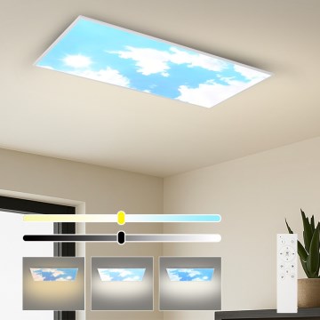 Brilagi - LED stmievateľné stropné svietidlo SLIMFRAME LED/80W/230V 120x60 cm 3000-6000K strieborné/modré + diaľkové ovládanie