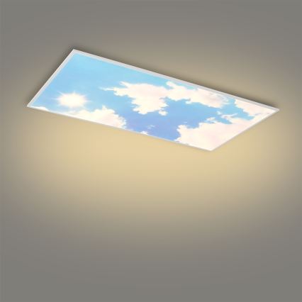 Brilagi - LED stmievateľné stropné svietidlo SLIMFRAME SKY LED/80W/230V 120x60 cm 3000-6000K strieborná/modrá + diaľkové ovládanie