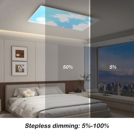 Brilagi - LED stmievateľné stropné svietidlo SLIMFRAME SKY LED/80W/230V 120x60 cm 3000-6000K strieborná/modrá + diaľkové ovládanie