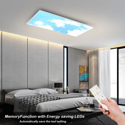 Brilagi - LED stmievateľné stropné svietidlo SLIMFRAME SKY LED/80W/230V 120x60 cm 3000-6000K strieborná/modrá + diaľkové ovládanie