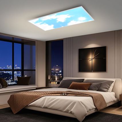 Brilagi - LED stmievateľné stropné svietidlo SLIMFRAME SKY LED/80W/230V 120x60 cm 3000-6000K strieborná/modrá + diaľkové ovládanie