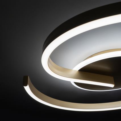 Brilagi - LED Stmievateľné stropné svietidlo SPIRAL LED/56W/230V pr. 50 cm 3000/4000/6000K + diaľkové ovládanie