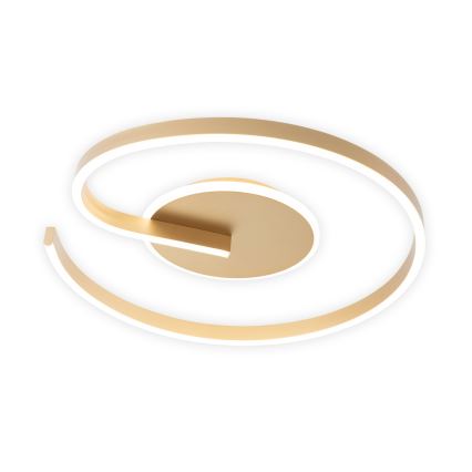 Brilagi - LED Stmievateľné stropné svietidlo SPIRAL LED/56W/230V pr. 50 cm 3000/4000/6000K + diaľkové ovládanie