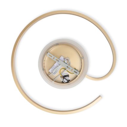 Brilagi - LED Stmievateľné stropné svietidlo SPIRAL LED/56W/230V pr. 50 cm 3000/4000/6000K + diaľkové ovládanie