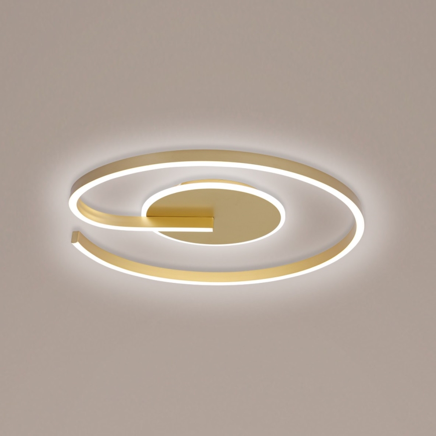 Brilagi - LED Stmievateľné stropné svietidlo SPIRAL LED/56W/230V pr. 50 cm 3000/4000/6000K + diaľkové ovládanie