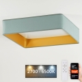 Brilagi - LED stmievateľné stropné svietidlo VELVET SQUARE SMART LED/36W/230V 60x60 cm 2700-6500K Wi-Fi Tuya + diaľkové ovládanie mentolová