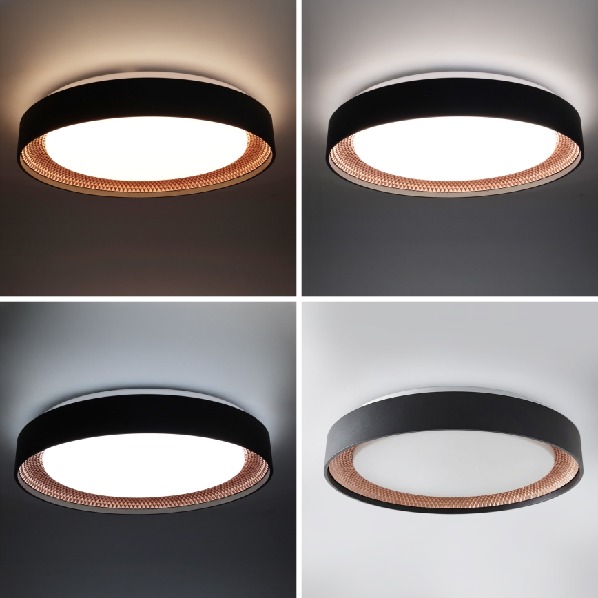 Brilagi - Stmievateľné LED stropné svietidlo WALDO LED/48W/230V 3000-6500K priemer 40 cm čierna/zlatá + diaľkové ovládanie
