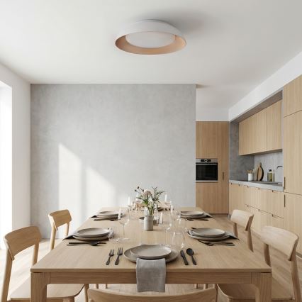 Brilagi - LED stmievateľné stropné svietidlo ALVA LED/48W/230V 3000-6500K priemer 51 cm biela + diaľkové ovládanie