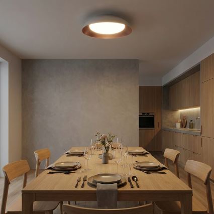 Brilagi - LED stmievateľné stropné svietidlo ALVA LED/48W/230V 3000-6500K priemer 51 cm biela + diaľkové ovládanie