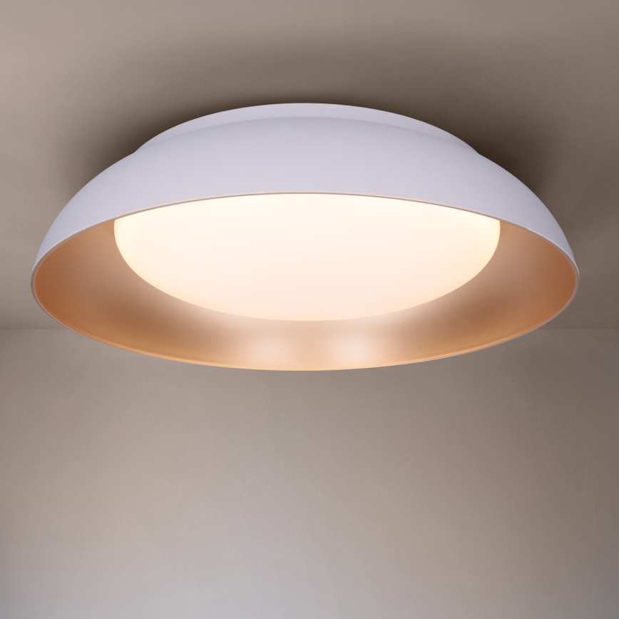 Brilagi - LED stmievateľné stropné svietidlo ALVA LED/48W/230V 3000-6500K priemer 51 cm biela + diaľkové ovládanie