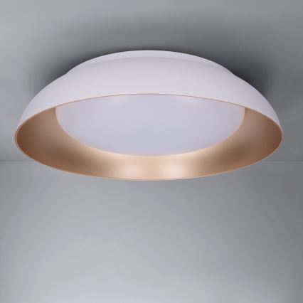 Brilagi - LED stmievateľné stropné svietidlo ALVA LED/48W/230V 3000-6500K priemer 51 cm biela + diaľkové ovládanie