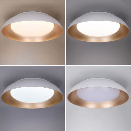 Brilagi - LED stmievateľné stropné svietidlo ALVA LED/48W/230V 3000-6500K priemer 51 cm biela + diaľkové ovládanie