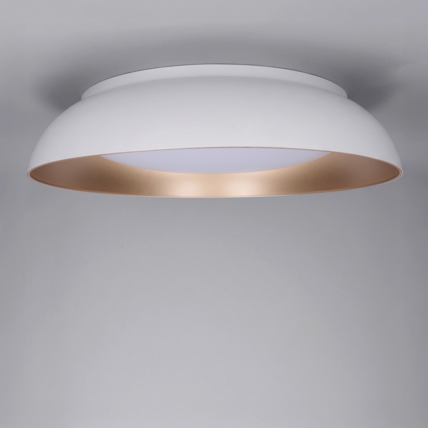 Brilagi - LED stmievateľné stropné svietidlo ALVA LED/48W/230V 3000-6500K priemer 51 cm biela + diaľkové ovládanie