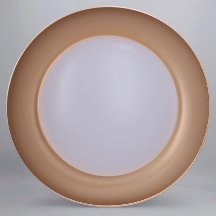 Brilagi - LED stmievateľné stropné svietidlo ALVA LED/48W/230V 3000-6500K priemer 51 cm biela + diaľkové ovládanie