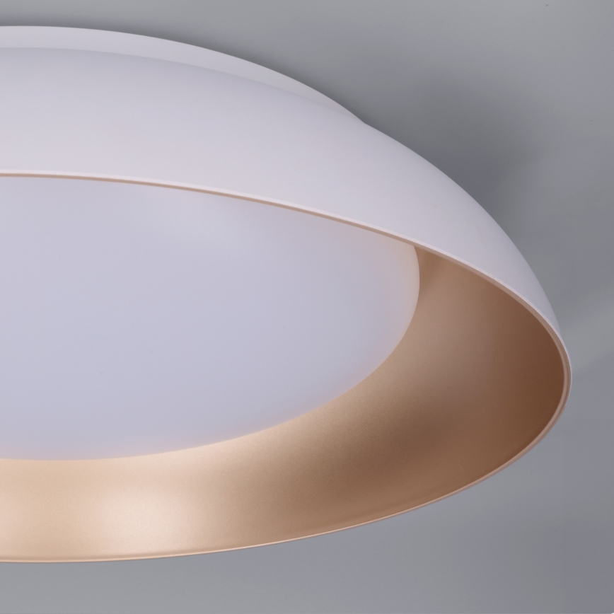 Brilagi - LED stmievateľné stropné svietidlo ALVA LED/48W/230V 3000-6500K priemer 51 cm biela + diaľkové ovládanie