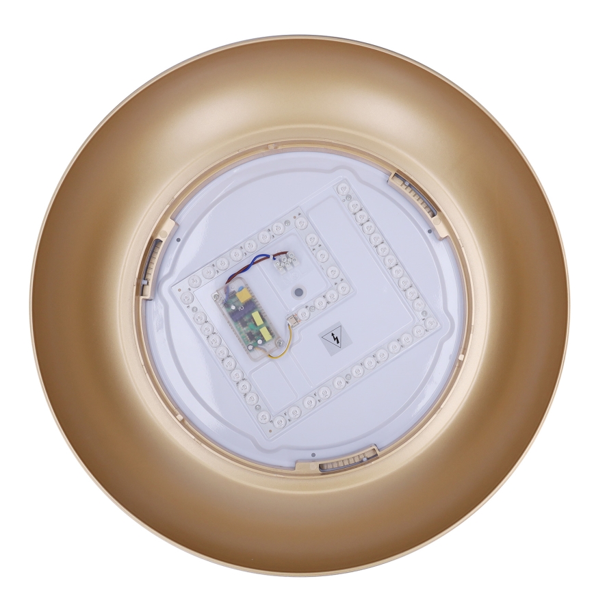 Brilagi - LED Stmievateľné stropné svietidlo ALVA LED/48W/230V 3000-6500K pr. 51 cm čierna + diaľkové ovládanie