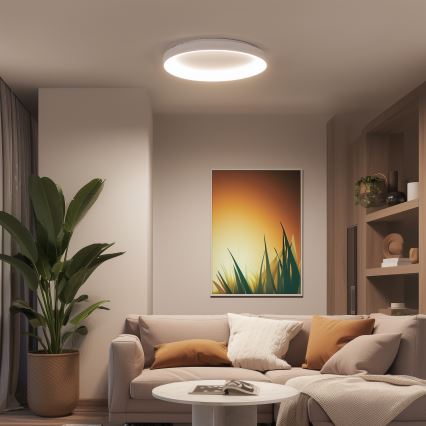 Brilagi - LED stmievateľné stropné svietidlo FALCON II LED/108W/230V 3000-6500K pr. 80 cm biela + diaľkové ovládanie