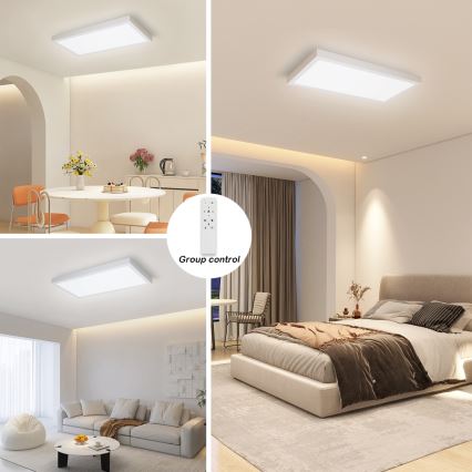 Brilagi - LED Stmievateľné kúpeľňové stropné svietidlo FRAME SMART LED/30W/230V 30x60 cm 3000-6000K IP44 biela + diaľkové ovládanie