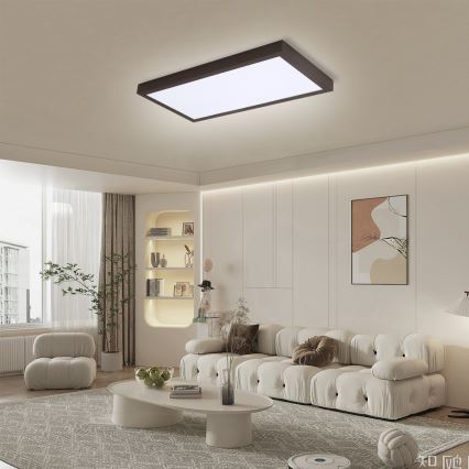 Brilagi - LED Stmievateľné kúpeľňové stropné svietidlo FRAME SMART LED/30W/230V 30x60 cm 3000-6000K  IP44 čierna  + diaľkové ovládanie