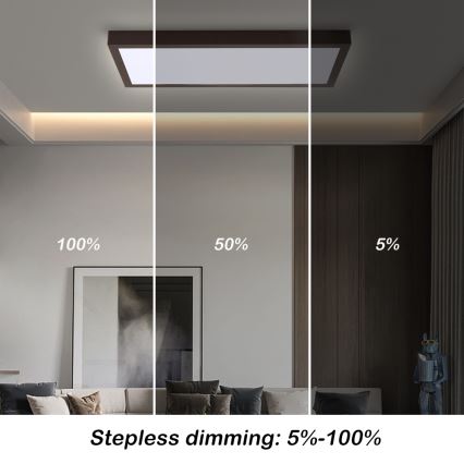 Brilagi - LED Stmievateľné kúpeľňové stropné svietidlo FRAME SMART LED/30W/230V 30x60 cm 3000-6000K  IP44 čierna  + diaľkové ovládanie