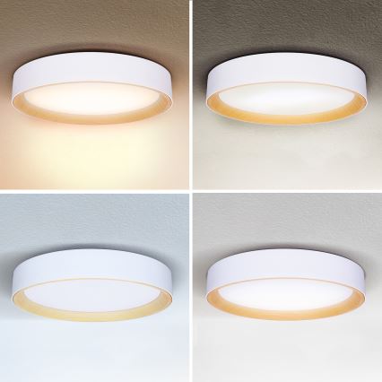 Brilagi - LED Stmievateľné stropné svietidlo LARIOS LED/60W/230V 3000-6500K ø 49 cm biela + diaľkové ovládanie