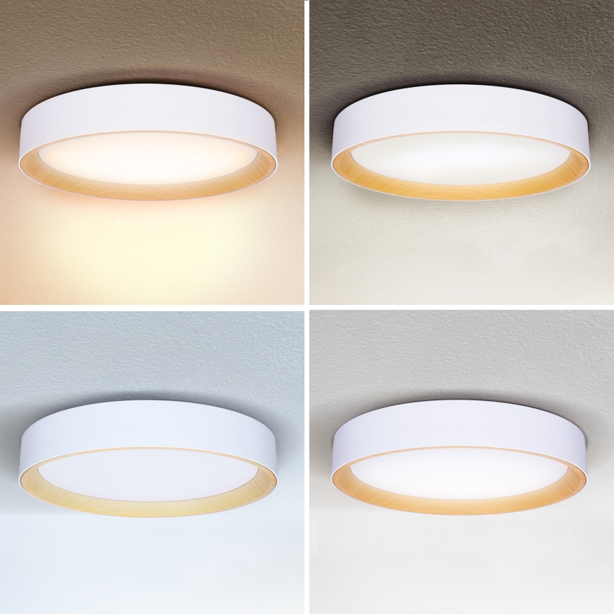 Brilagi - LED Stmievateľné stropné svietidlo LARIOS LED/60W/230V 3000-6500K ø 49 cm biela + diaľkové ovládanie