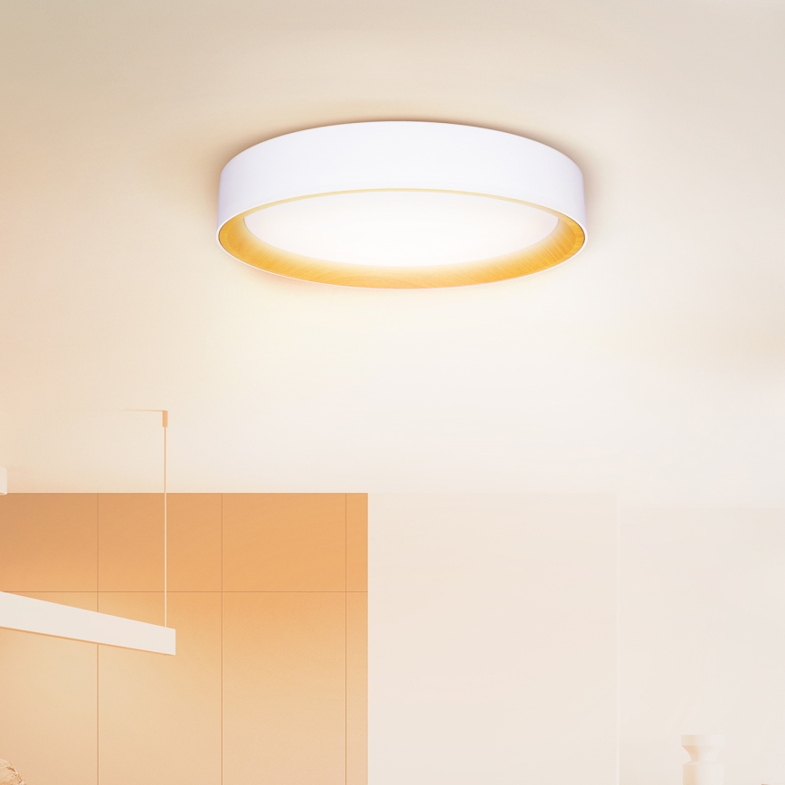 Brilagi - LED Stmievateľné stropné svietidlo LARIOS LED/60W/230V 3000-6500K ø 49 cm biela + diaľkové ovládanie