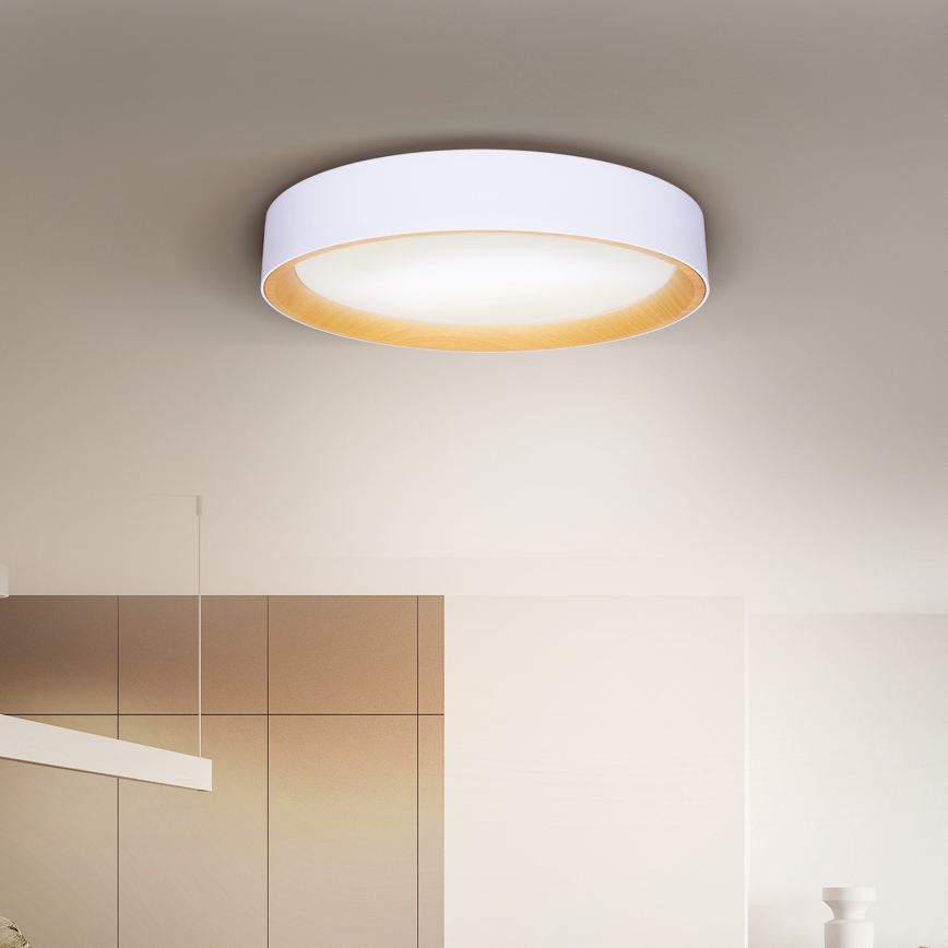 Brilagi - LED Stmievateľné stropné svietidlo LARIOS LED/60W/230V 3000-6500K ø 49 cm biela + diaľkové ovládanie