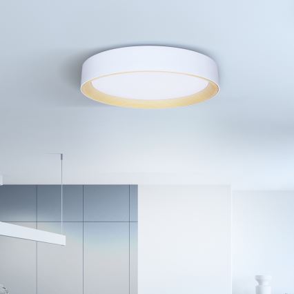 Brilagi - LED Stmievateľné stropné svietidlo LARIOS LED/60W/230V 3000-6500K ø 49 cm biela + diaľkové ovládanie