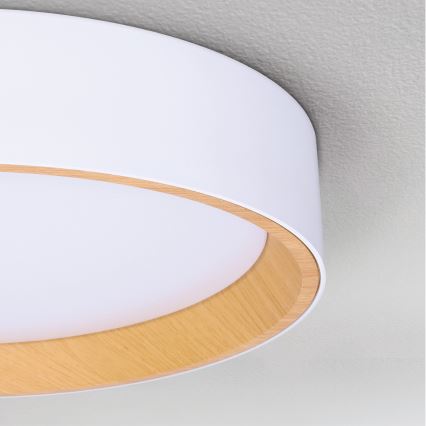 Brilagi - LED Stmievateľné stropné svietidlo LARIOS LED/60W/230V 3000-6500K ø 49 cm biela + diaľkové ovládanie