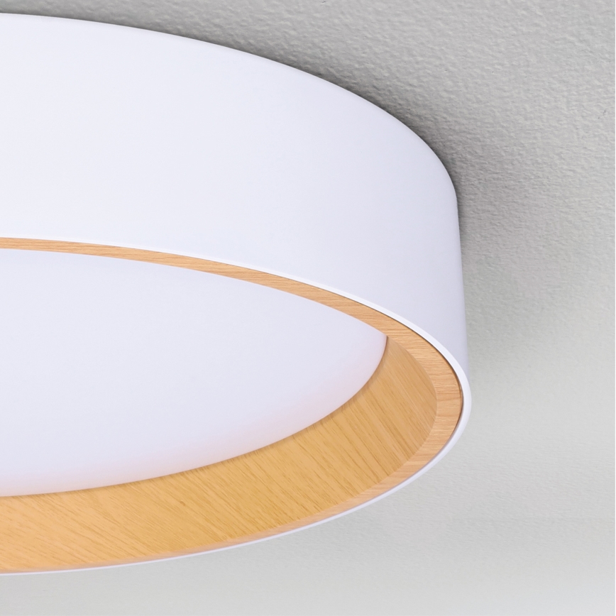 Brilagi - LED Stmievateľné stropné svietidlo LARIOS LED/60W/230V 3000-6500K ø 49 cm biela + diaľkové ovládanie