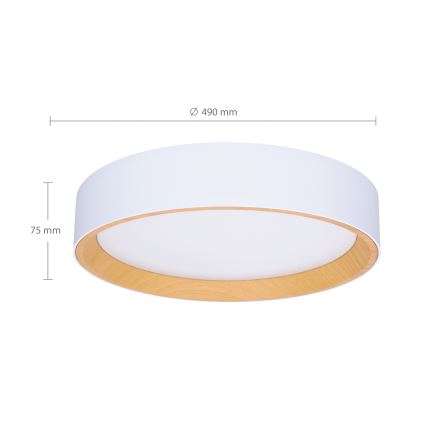 Brilagi - LED Stmievateľné stropné svietidlo LARIOS LED/60W/230V 3000-6500K ø 49 cm biela + diaľkové ovládanie