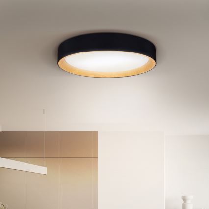 Brilagi - LED Stmievateľné stropné svietidlo LARIOS LED/60W/230V 3000-6500K ø 49 cm čierna + diaľkové ovládanie