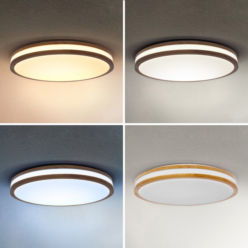 Brilagi - LED stmievateľné stropné svietidlo MOLINA LED/72W/230V 3000-6500K dub pr. 78 cm + diaľkové ovládanie