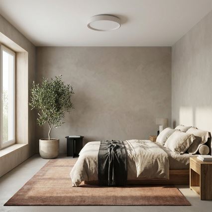 Brilagi - LED stmievateľné stropné svietidlo NANCI LED/60W/230V 3000-6500K priemer 49 cm biela + diaľkové ovládanie