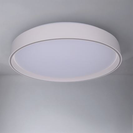 Brilagi - LED stmievateľné stropné svietidlo NANCI LED/60W/230V 3000-6500K priemer 49 cm biela + diaľkové ovládanie