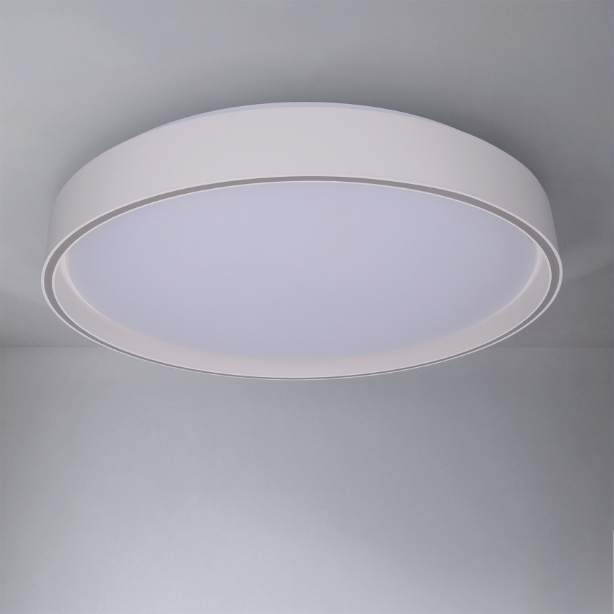 Brilagi - LED stmievateľné stropné svietidlo NANCI LED/60W/230V 3000-6500K priemer 49 cm biela + diaľkové ovládanie