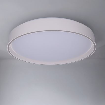 Brilagi - LED stmievateľné stropné svietidlo NANCI LED/60W/230V 3000-6500K priemer 49 cm biela + diaľkové ovládanie