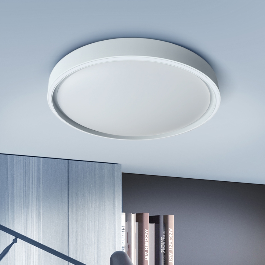Brilagi - LED stmievateľné stropné svietidlo NANCI LED/60W/230V 3000-6500K pr. 49 cm strieborné + diaľkové ovládanie