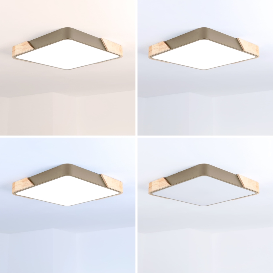 BRILAGI - stmievateľné stropné svietidlo PILANA SQUARE LED/48W/230V 3000-6500K dub/béžová 42x42 cm + diaľkové ovládanie