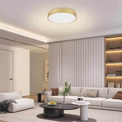 Brilagi - LED stmievateľné stropné svietidlo POOL LED/60W/230V 3000-6000K priemer 60 cm zlaté + diaľkové ovládanie