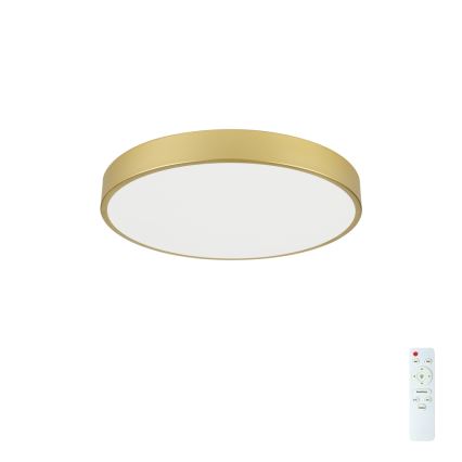 Brilagi - LED stmievateľné stropné svietidlo POOL LED/60W/230V 3000-6000K priemer 60 cm zlaté + diaľkové ovládanie