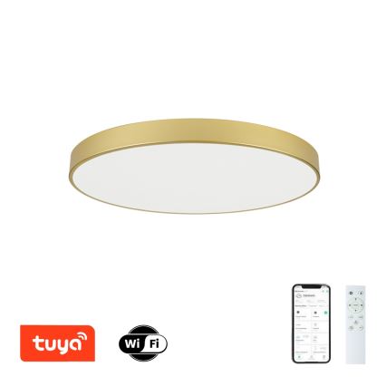 Brilagi - stmievateľné stropné LED svietidlo POOL SMART LED/100W/230V 3000-6000K 80 cm zlaté Wi-Fi Tuya + diaľkové ovládanie