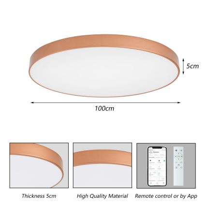 BRILAGI - LED Stmievateľné stropné svietidlo POOL SMART LED/128W/230V 100 cm 3000-6000K Wi-Fi Tuya bronzové + diaľkové ovládanie