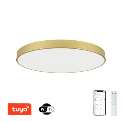 Brilagi - LED stmievaľné stropné svietidlo POOL SMART LED/128W/230V 3000-6000K 100 cm zlaté Wi-Fi Tuya + diaľkové ovládanie