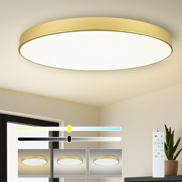 Brilagi - LED stmievateľné svietidlo POOL SMART LED/180W/230V 120 cm zlaté Wi-Fi Tuya+DO